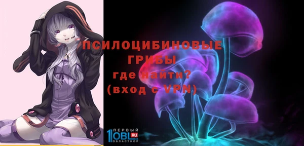 mdma Краснослободск