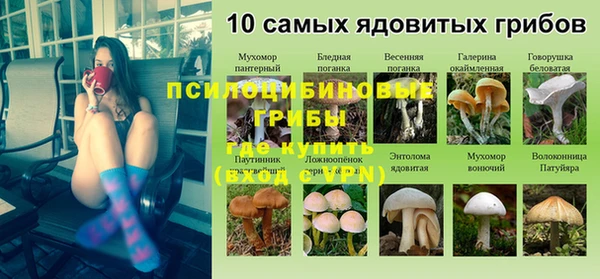 mdpv Краснотурьинск