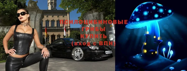 mdpv Краснотурьинск