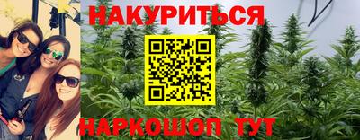 Альфа ПВП Лесосибирск