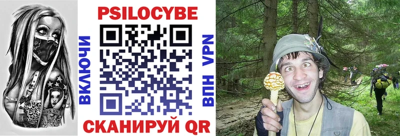 купить наркотики сайты  Сланцы  Псилоцибиновые грибы Magic Shrooms 