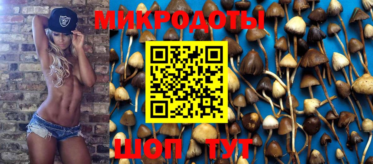 Галлюциногенные грибы мицелий Сланцы